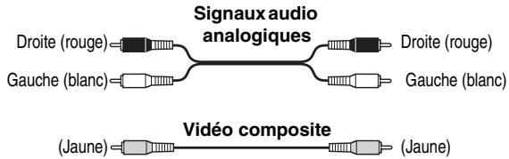 ONKYO DVSP405 - Code de couleurs des prises RCA pour apparèils AVbias de prises RCA. - 1