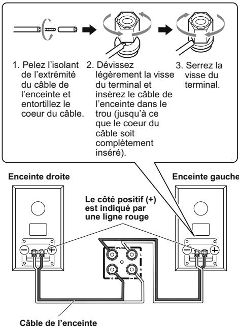 ONKYO D-045 - Connexion des enceintes - 1