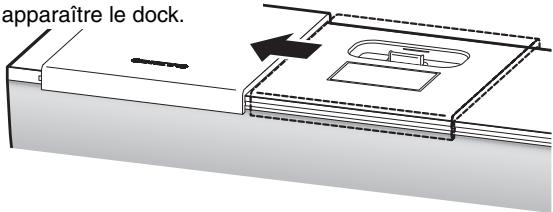 ONKYO ABX-N300 - A propos de l'adaptateur de dock - 1