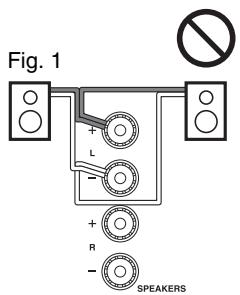 ONKYO CR-N755 - Fiches banane (Modèles nord-américains) - 2