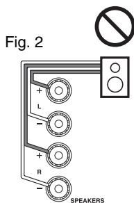 ONKYO CR-N755 - Clavijas de punta cónica (Modelos norteamericanos) - 3
