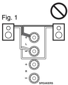 ONKYO CR-N755 - Clavijas de punta cónica (Modelos norteamericanos) - 2
