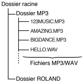 BOSS MICRO BR - Composition des données sur carte de mémoire - 1