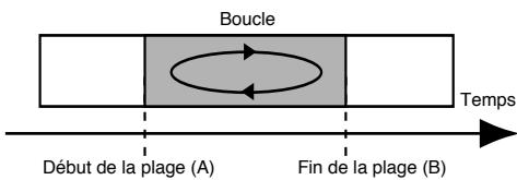 BOSS MICRO BR - Reproduction en boucle - 1