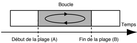 BOSS MICRO BR - Reproduction en boucle - 1
