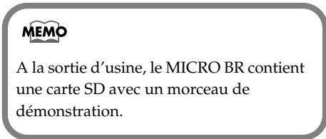 BOSS MICRO BR - Compartiment à piles - 2