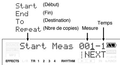 BOSS MICRO BR - Si vous appuyez sur [TR2] (MEA) - 1