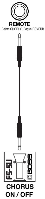 BOSS AD-5 - Jack REMOTE - 2