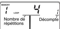 BOSS DB-60 - Lecture en séquence («Loop Play») - 1