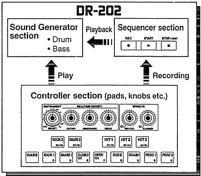 BOSS DR-202 - Organisation de la dr-202 - 1