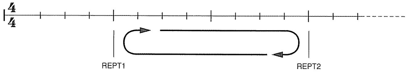 BOSS DR-5 - Repétition de section - 1