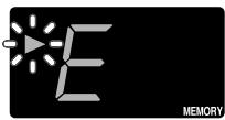 E MEMORY