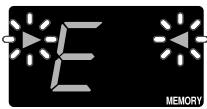 E MEMORY