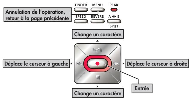 BOSS R-09HR - Sélection et entrée - 2