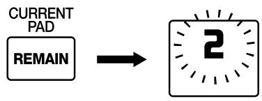 BOSS SP-202 - Pressez le bouton REMAIN. - 1