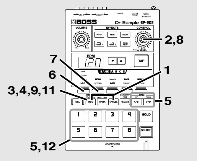 BOSS SP-202 - Enregistrement automatique (Auto Sampling) - 1