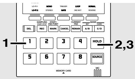 BOSS SP-202 - Employé de la fonction de maintien (Hold) pour reproduire un échantillon - 1