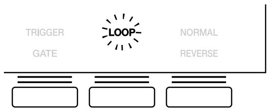 BOSS SP-202 - Reproduction répétitive d'une phrase (jeu en boucle / Loop) - 2