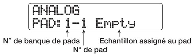 ZOOM HD16 - Affectation des échantillons aux pads - 1