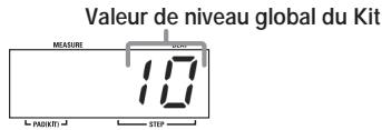 ZOOM MRT-3 - Pad 4: Niveau du Kit - 1