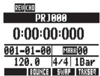 ZOOM R24 - Enregistrement de la première piste - 2