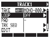 ZOOM R24 - Mise de pistes en boucle - 1