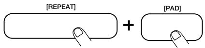 ZOOM RT-234 - Français - 1