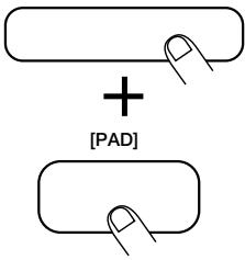 ZOOM RT-234 - Maintenez le bouton [REPEAT/STEP] enforcé tout en appuyant sur le pad. - 1