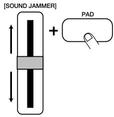 ZOOM RT-234 - Tapez sur le pad tout en déplaçant le curseur [SOUND JAMMER]. - 1