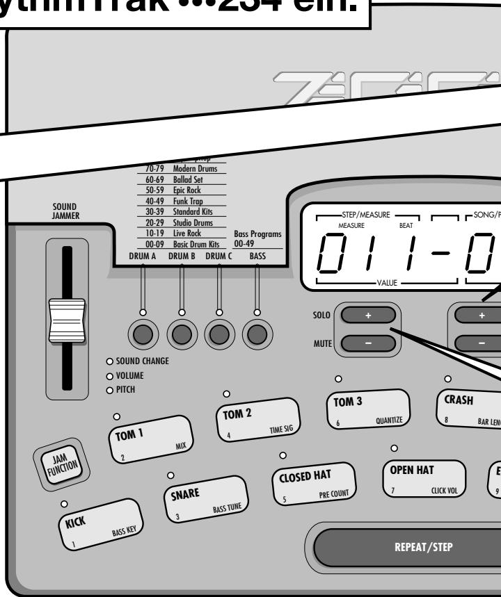 ZOOM RT-234 - Drucken Sie den [PATTERN]-Taster. - 2