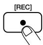 ZOOM RT-234 - Appuyez sur le bouton [REC]. - 1