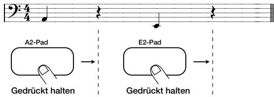 ZOOM RT-234 - Wenn Sie die gewünschte Tonhöhe eingestellt haben, drücken Sie den [FUNCTION]-Taster noch einmal. - 2