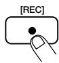 ZOOM RT-234 - Drücken Sie den [REC]-Taster. - 1