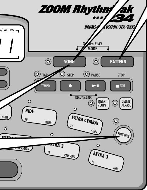ZOOM RT-234 - Anhaltendes Demosongs - 1
