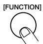 ZOOM RT-234 - Appuyez sur le bouton [FUNCTION]. - 1