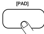 ZOOM RT-234 - Maintenez le bouton [REPEAT/STEP] enforcé tout en appuyant sur le pad. - 2