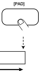 ZOOM RT-234 - Halten Sie den [REPEAT/STEP]-Taster gedrückt, während Sie ein Pad betätigten. - 2
