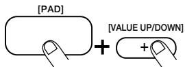 ZOOM RT-234 - Um einem Pad ein anderes Pattern zuzuordnen, müssen Sie das Pad gedrückten und mit [VALUE +/-] eine andere Nummer wahlen. - 1