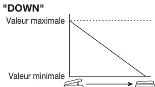 ZOOM A21U - LOW - 2