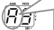 ZOOM A21U - Jeu de la corde à accorder - 1