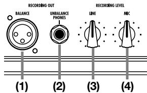 ZOOM FIRE18M - Prise RECORDING OUT [UNBALANCE/PHONES] - 1