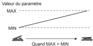 ZOOM G21NU - Utilisez les boutons de paramètre 2 et 3 pour changer la plage de réglage du paramètre contrôle. - 1