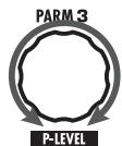 ZOOM G21NU - Tournez le bouton de paramètre 3. - 1