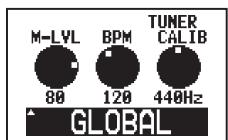 ZOOM G21NU - Ouvrez les menus généraux (Global) - 2