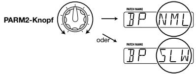 ZOOM GFX707 - Drehen Sie den Parameter-Knopf 2, um "NML" (normale Wiedergabegeschwindigkeit) oder "SLW" (halbe Wiedergabegeschwindigkeit ohne Tonhohenänderung) zu wahren. - 1