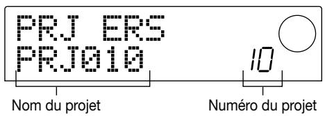 ZOOM MRS1044 - Effacer un projet (PROJECT ERASE) - 1