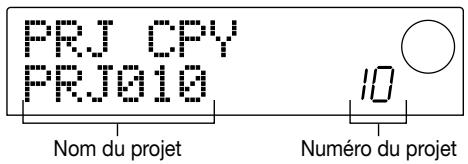 ZOOM MRS1044 - Faire un double d'un projet (PROJECT COPY) - 1