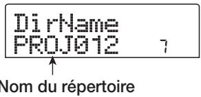 ZOOM MRS802 - Truc - 1