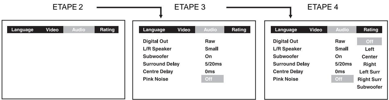 AKAI DVR4400SS - Bruit rose - 1