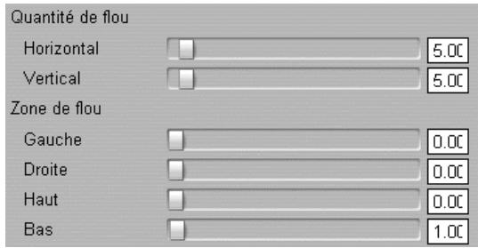 PINNACLE STUDIO 9 - Flou - 1